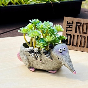 Mama Opossum Planter | Small Succulent Pot