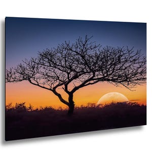 Fotografía impresa de silueta de árbol al atardecer, arte mural de paisaje de la hora dorada, decoración de naturaleza. imagen 1
