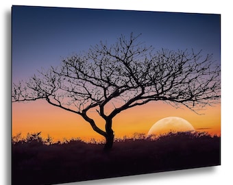 Sunset Tree Silhouette Photography Print, Golden Hour Landscape Wall Art, Nature Decor