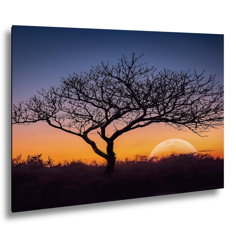 Fotografía impresa de silueta de árbol al atardecer, arte mural de paisaje de la hora dorada, decoración de naturaleza. imagen 1