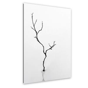May include: A black and white minimalist art print featuring a slender, bare tree branch against a stark white background. The branch has several small twigs and a subtle reflection below. The artwork is mounted on a white surface.