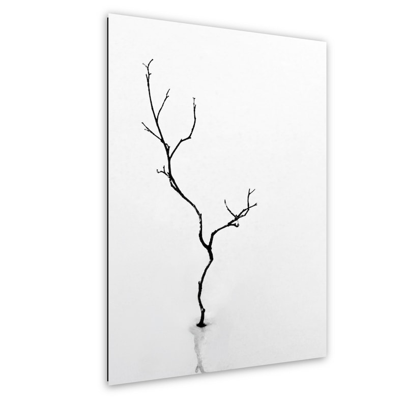 May include: A black and white minimalist art print featuring a slender, bare tree branch against a stark white background. The branch has several small twigs and a subtle reflection below. The artwork is mounted on a white surface.