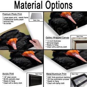 May include: Image showcasing material options for prints, including premium photo, acrylic, gallery wrapped canvas, and metal/aluminum. Each option is described with features like paper type, thickness, and cleaning instructions. The title "Material Options" is at the top.