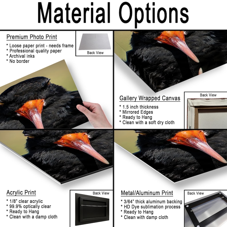 May include: Image showcasing material options for prints, including premium photo, acrylic, gallery wrapped canvas, and metal/aluminum. Each option is described with features like paper type, thickness, and cleaning instructions. The title "Material Options" is at the top.