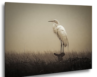 Foggy Egret Bird Photography Print | Moody Coastal Wildlife  | Serene Marsh Wall Decor |
