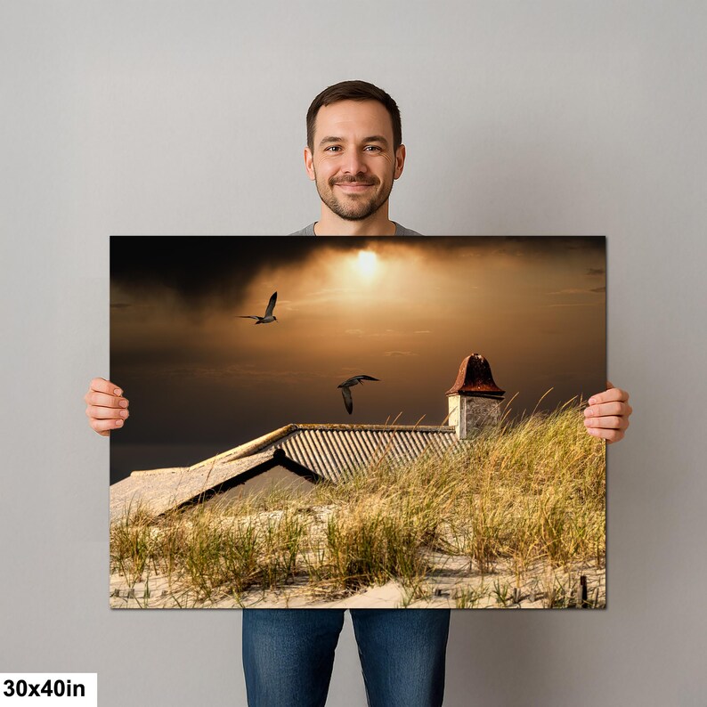 Cielos sombríos y dunas azotadas por el viento: la naturaleza reclama el protagonismo en la fotografía de paisajes. imagen 7