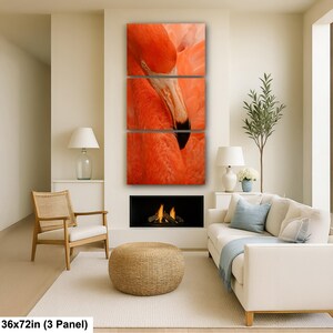 Ritratto ravvicinato di un fenicottero a Nassau, Bahamas, con piume arancioni e occhi intensi 36x72” (3 panels)