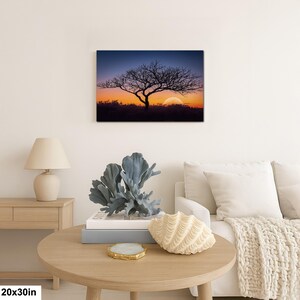 Fotografía impresa de silueta de árbol al atardecer, arte mural de paisaje de la hora dorada, decoración de naturaleza. 20x30”