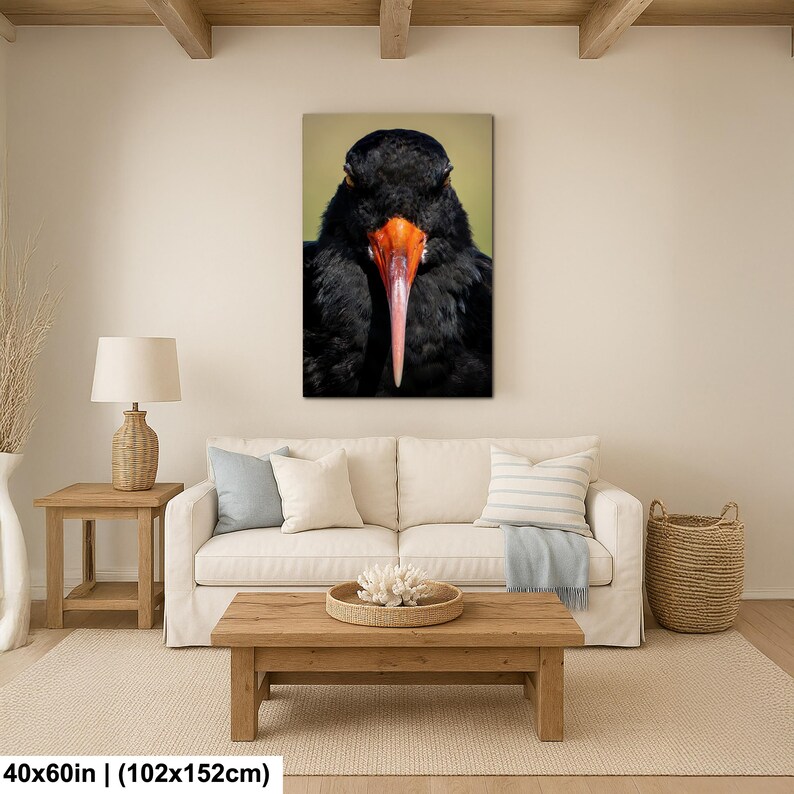 May include: A close-up of a canvas print featuring a black bird with a long, orange beak. The bird's feathers are a deep black, and the background is a soft, muted green. The canvas is 40x60 inches.