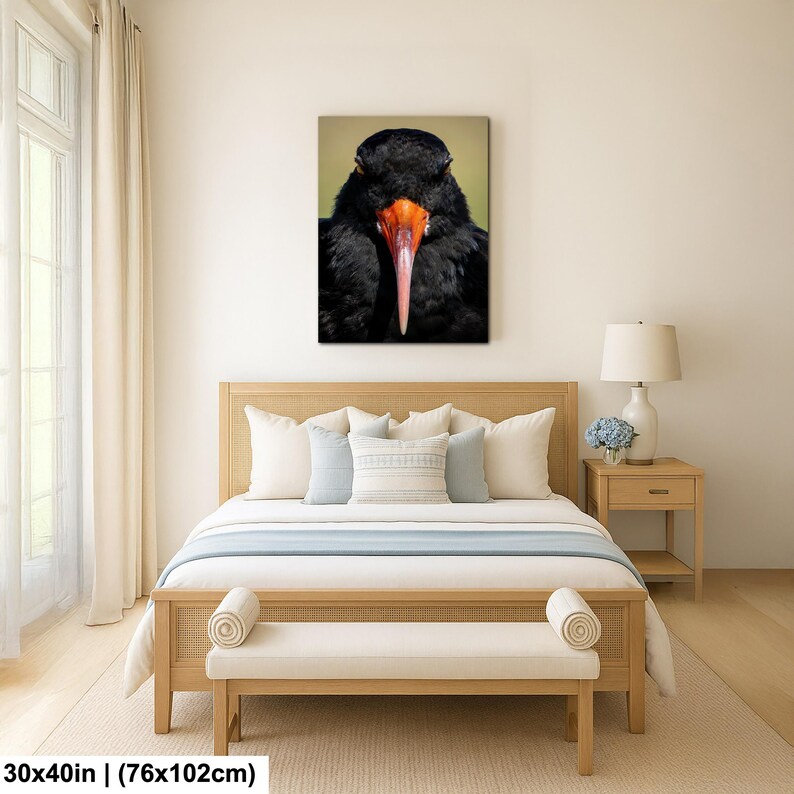 May include: A framed canvas print featuring a close-up of a black bird with a long, orange and pink beak. The bird's dark feathers contrast with the neutral background. The canvas measures 30x40 inches (76x102cm).