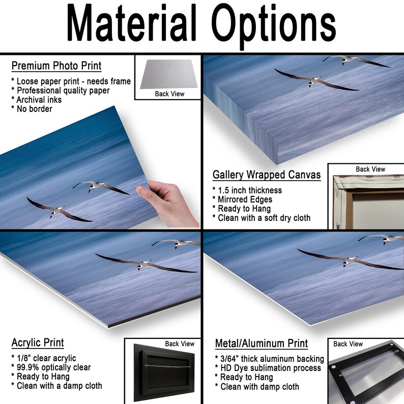 May include: Image showcasing different print material options. Includes Premium Photo Print, Gallery Wrapped Canvas, Acrylic Print, and Metal/Aluminum Print. Each option displays a seascape with birds in flight, with details and back views.