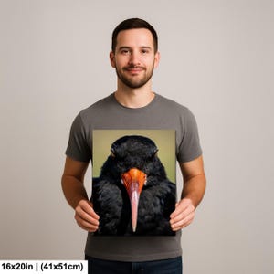 May include: A 16x20 inch (41x51cm) canvas print featuring a close-up of a black bird with a long, orange and pink beak. The bird's feathers are a deep black, and the background is a soft green. The print is held by a person.