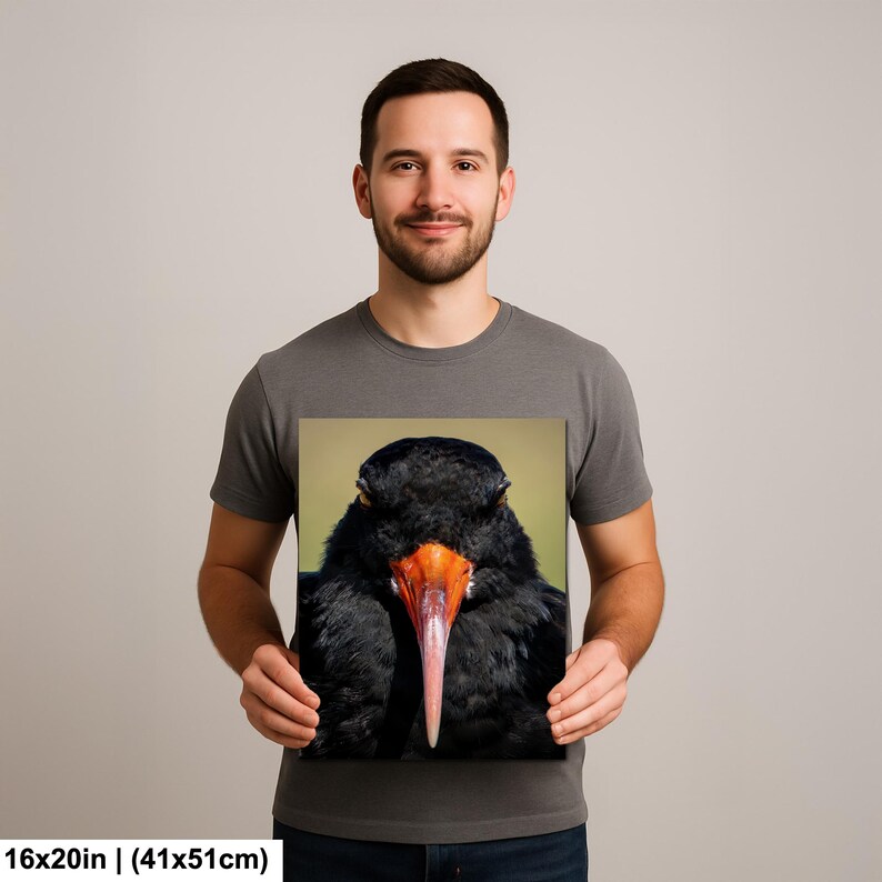 May include: A 16x20 inch (41x51cm) canvas print featuring a close-up of a black bird with a long, orange and pink beak. The bird's feathers are a deep black, and the background is a soft green. The print is held by a person.