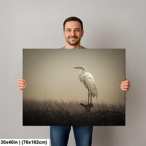 Fågelfotografi av dimmig häger | Stämningsfull kustnära djurliv | Lugn väggdekoration i träsk | bild 9