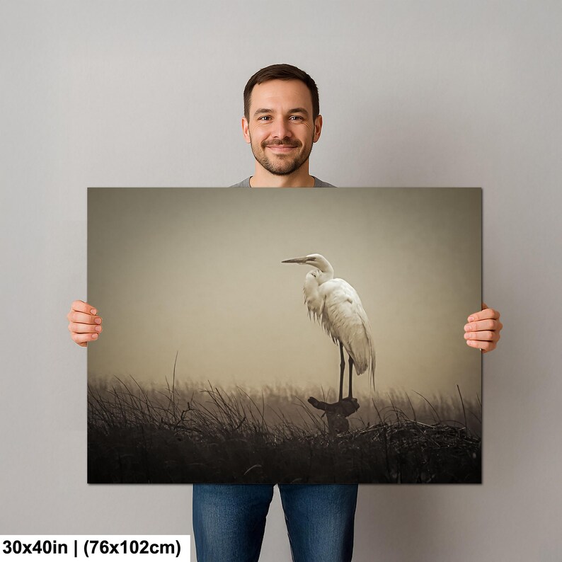 Fågelfotografi av dimmig häger | Stämningsfull kustnära djurliv | Lugn väggdekoration i träsk | bild 9