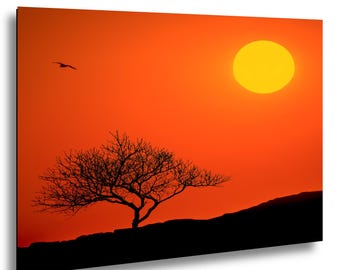 Lone Tree Sunset Wall Art, Orange Sky Landscape Photography Print, Bird Silhouette Decor