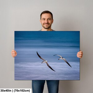 May include: A canvas print featuring two seabirds in flight against a blurred blue ocean backdrop. The birds have black and white plumage, with wings outstretched. The canvas measures 30x40 inches.