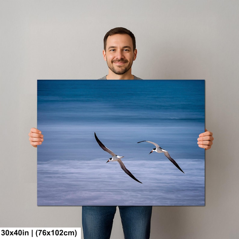 May include: A canvas print featuring two seabirds in flight against a blurred blue ocean backdrop. The birds have black and white plumage, with wings outstretched. The canvas measures 30x40 inches.