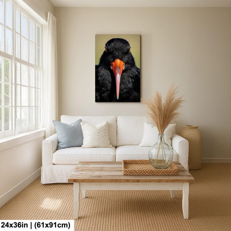 May include: A canvas print featuring a close-up of a black bird with an orange beak and a pinkish-red tip. The bird's feathers are dark and textured. The artwork is 24x36 inches.