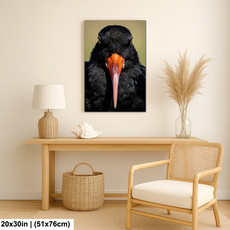 May include: A framed canvas print featuring a close-up of a black bird with a long, orange and pink beak. The bird's dark feathers contrast with the neutral background. The print is 20x30 inches (51x76cm).