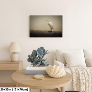 Fågelfotografi av dimmig häger | Stämningsfull kustnära djurliv | Lugn väggdekoration i träsk | 20x30”