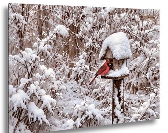Rotkardinal Kunst, Winter Fotografie Druck, verschneite Vogelhaus Natur Dekoration, rustikale Vogel Wand