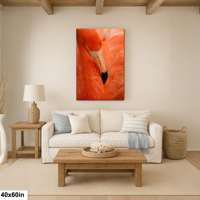 Ritratto ravvicinato di un fenicottero a Nassau, Bahamas, con piume arancioni e occhi intensi 40x60”