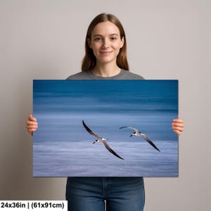 May include: A canvas print featuring two seabirds in flight over a blurred blue ocean. The birds have black and white markings, with long, slender wings. The print measures 24x36 inches (61x91cm).
