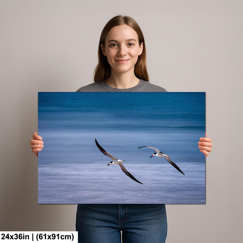 May include: A canvas print featuring two seabirds in flight over a blurred blue ocean. The birds have black and white markings, with long, slender wings. The print measures 24x36 inches (61x91cm).