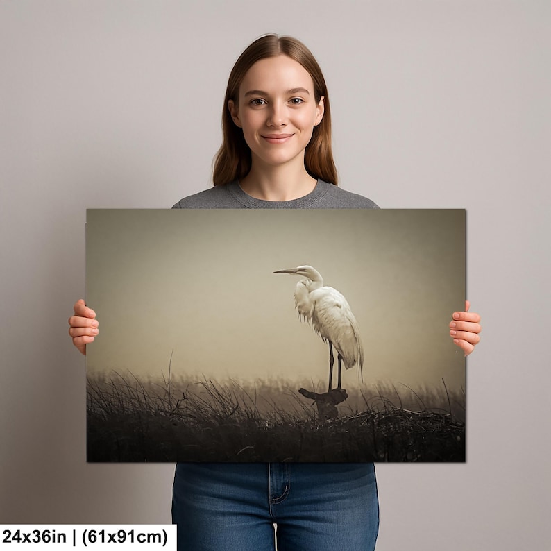Fågelfotografi av dimmig häger | Stämningsfull kustnära djurliv | Lugn väggdekoration i träsk | bild 7