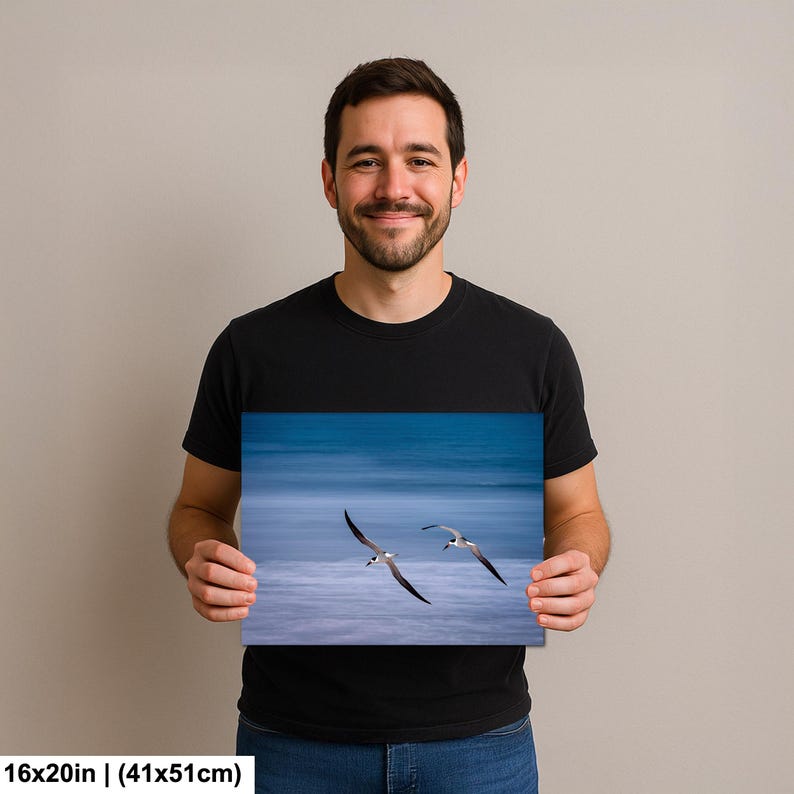 May include: A 16x20 inch (41x51cm) print featuring two seabirds in flight over a blurred blue ocean. The birds have black and white markings, with long, slender wings. The background is a soft, abstract representation of the sea.