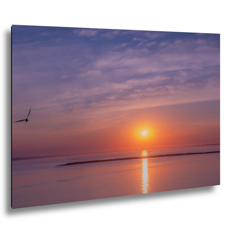 Sunset Ocean Photography Print, Seagull Coastal Wall Art, Minimalist Beach Decor, Serene Water Reflection, image 1