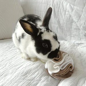 May include: A black and white rabbit with long ears, sniffing a felt toy shaped like a cupcake. The toy has white and brown layers. The rabbit is on a white, textured surface.