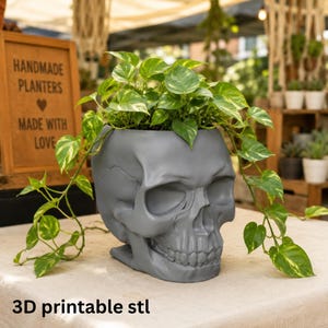 May include: A matte gray skull-shaped planter containing a trailing pothos plant with variegated green and yellow leaves. The planter features a realistic human skull design with deep eye sockets and a detailed jawline, resting on a flat base.