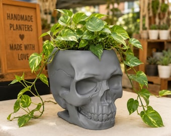 Peut inclure: Un pot de fleurs gris mat en forme de crâne contenant une plante pothos retombante aux feuilles vertes et jaunes panachées. Le pot présente un design de crâne humain réaliste avec des orbites profondes et une mâchoire détaillée sur une base plate.