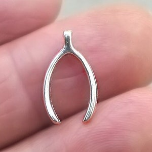 Wishbone Charms, Wish Bone pendant beads, up to 40 pcs, Antique Silver 9X16mm CM0158S
