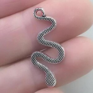 May include: A silver-colored snake charm with a textured surface. The charm is in a curved, serpentine shape, with a small loop at the top for attaching to jewelry. The snake's body is detailed with a scale-like pattern.