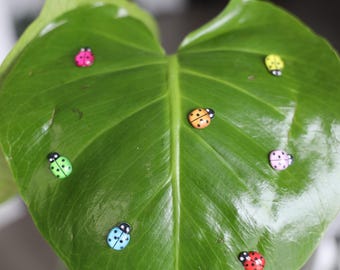 Lieveheersbeestje-plantmagneet