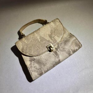 Snakeskin Handbag Reptile skin bag clutch purse botkier