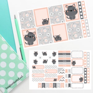 Gray and Peach kitty kit