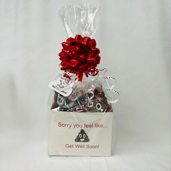 Dog get Well Soon Gift Basket Etsy Canada