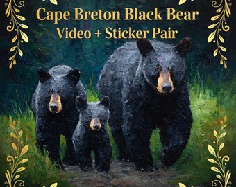 Cape Breton Black Bear Art – Wildlife Video & Sticker Pair (Digital Download)