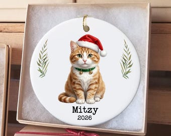 Personalized Tabby Cat Christmas Ornament, Christmas Tree Kitty Kids Gift Ornaments,