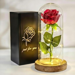 Lighted Rose in Glass Dome | Eternal Rose LED Lamp | Romantic Gift for Her | Valentine’s Day Decor