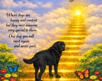 Rainbow Bridge Tribute