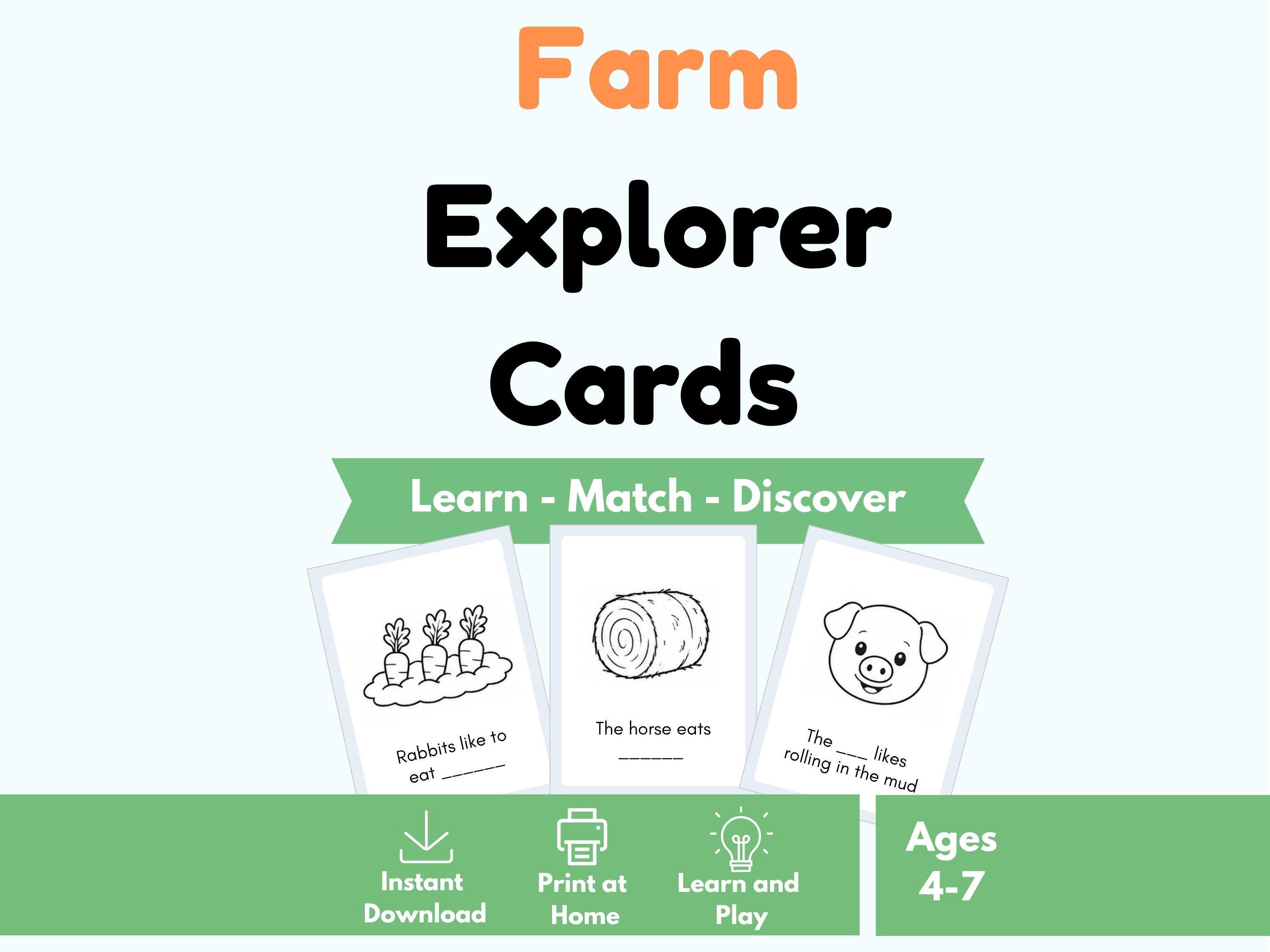 Farm Explorer Flashcards | Vocabulary Learning Activity (PDF Printable ...