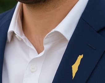 Broche de oro de Israel, pin con mapa de Israel, accesorio judío, mapa de Tierra Santa, regalo de Bat Mitzvah, joyería de Israel, regalo de Israel, apoya a Israel