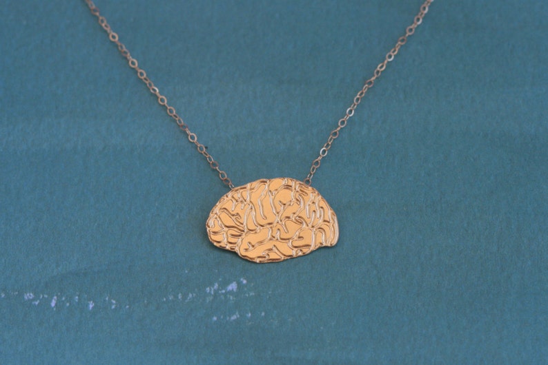 Gold Brain Necklace Anatomical Brain Jewelry Human Brain Etsy