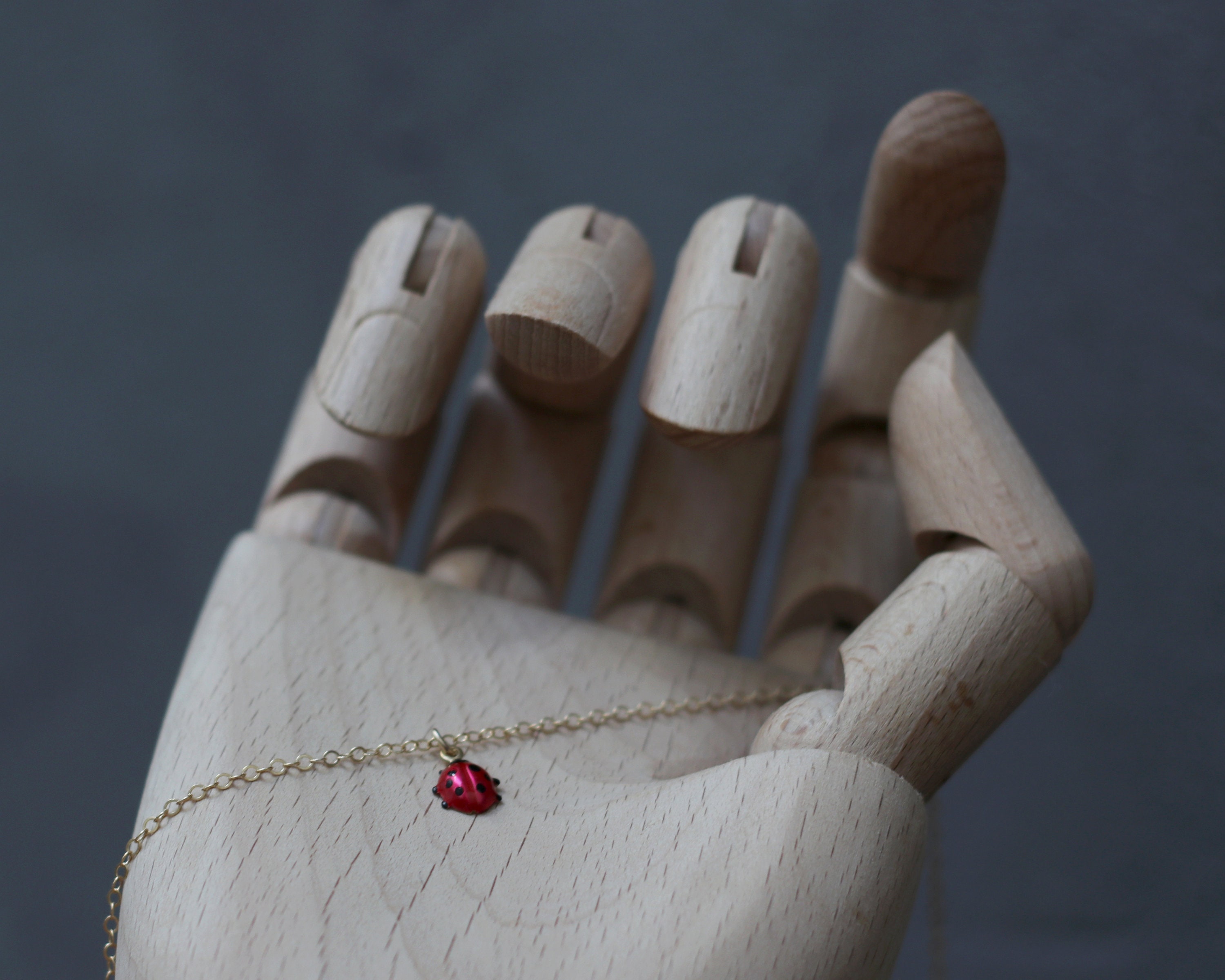 Bling Jewelry Marienkäfer Anhänger – Rote Emaille Glücksbringer Halskette Für Frauen & Teenager