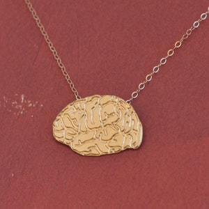 Anatomical Brain Necklace, Gold Human Brain Necklace, Psychology Graduation Gift, Anatomical Necklace, Brain Jewelry, Psychology Necklace